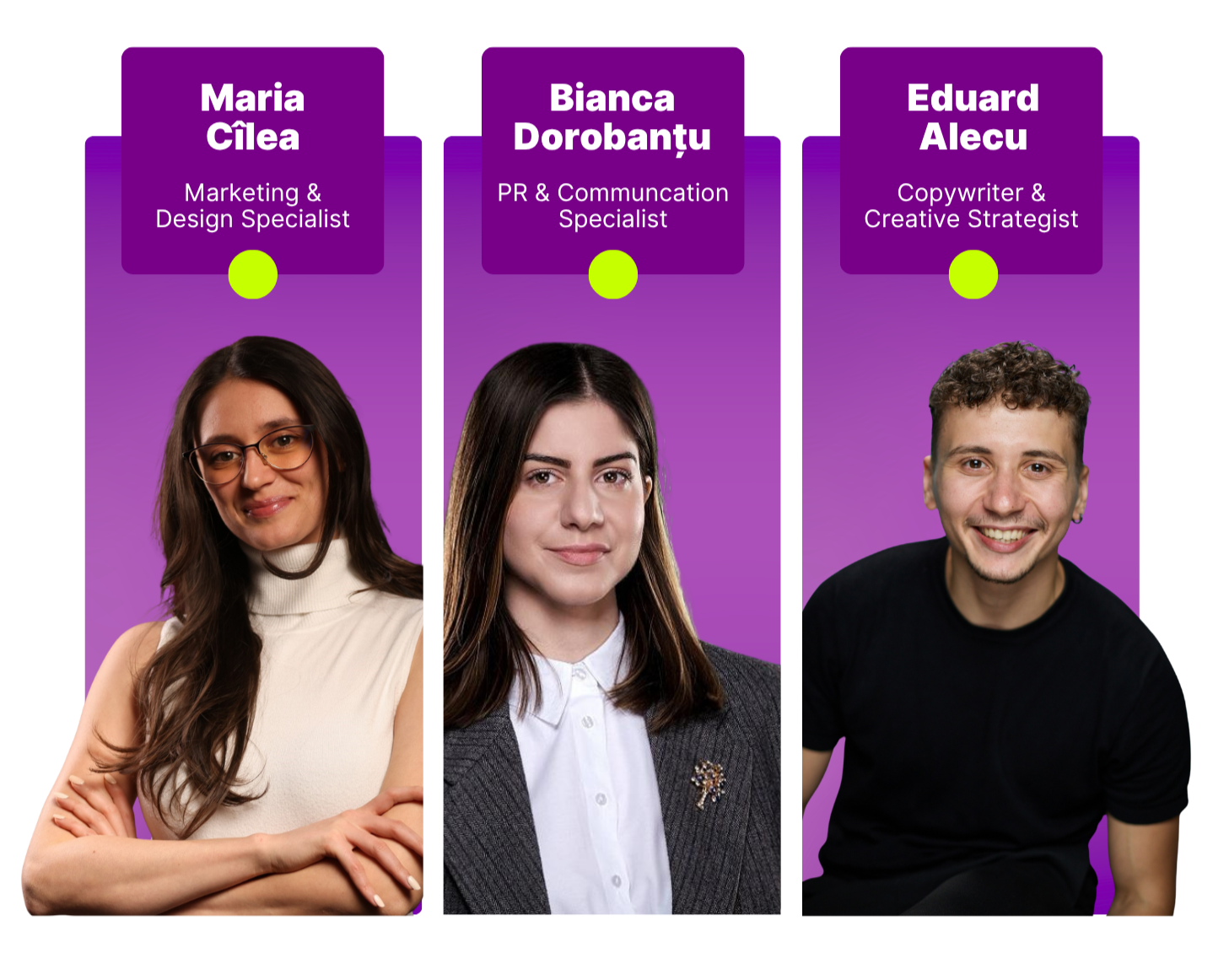 Prezentare business/afacere - Digital Insight - MediaProducts.Net - Romania Prezentare business/afacere - business presentation - sabloane prezentare afaceri - PowerPoint